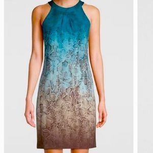WHBM halter turquoise ombré chemise dress snakeskin print cutout back. XS.